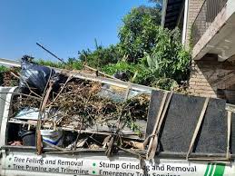 Best Commercial Junk Removal  in Princeton, WI